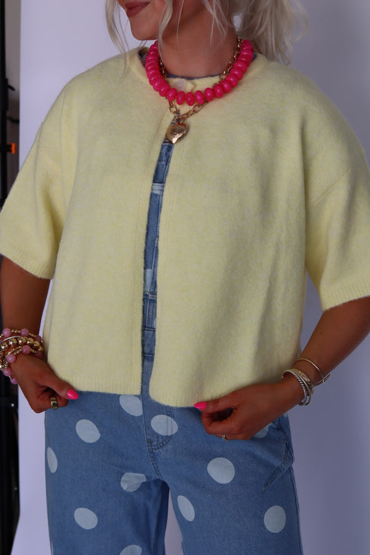 Stacie Short Sleeve Sweater Top
