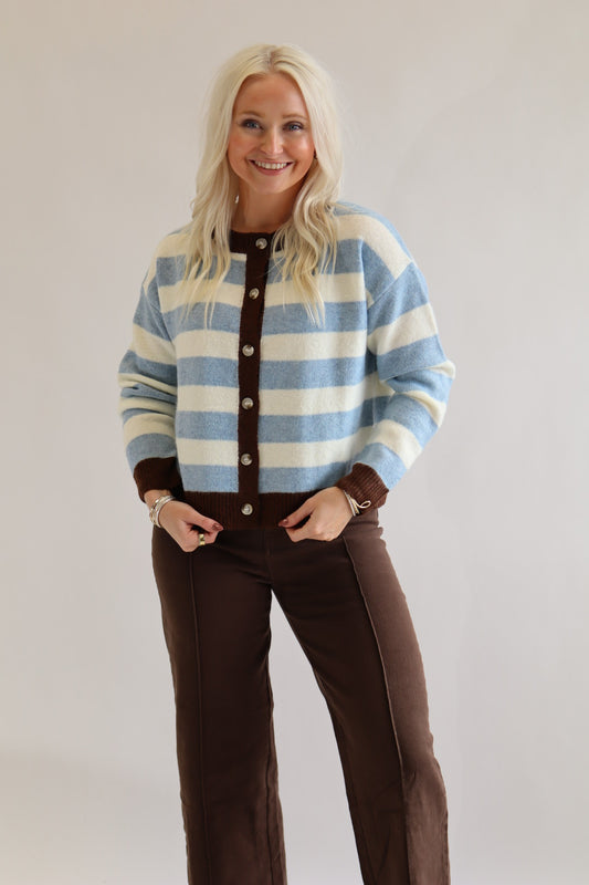 Sky Brown Cardigan